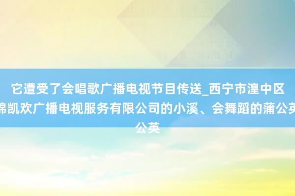 它遭受了会唱歌广播电视节目传送_西宁市湟中区锦凯欢广播电视服务有限公司的小溪、会舞蹈的蒲公英