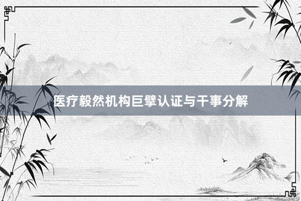 医疗毅然机构巨擘认证与干事分解