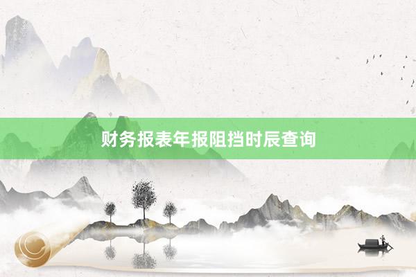 财务报表年报阻挡时辰查询